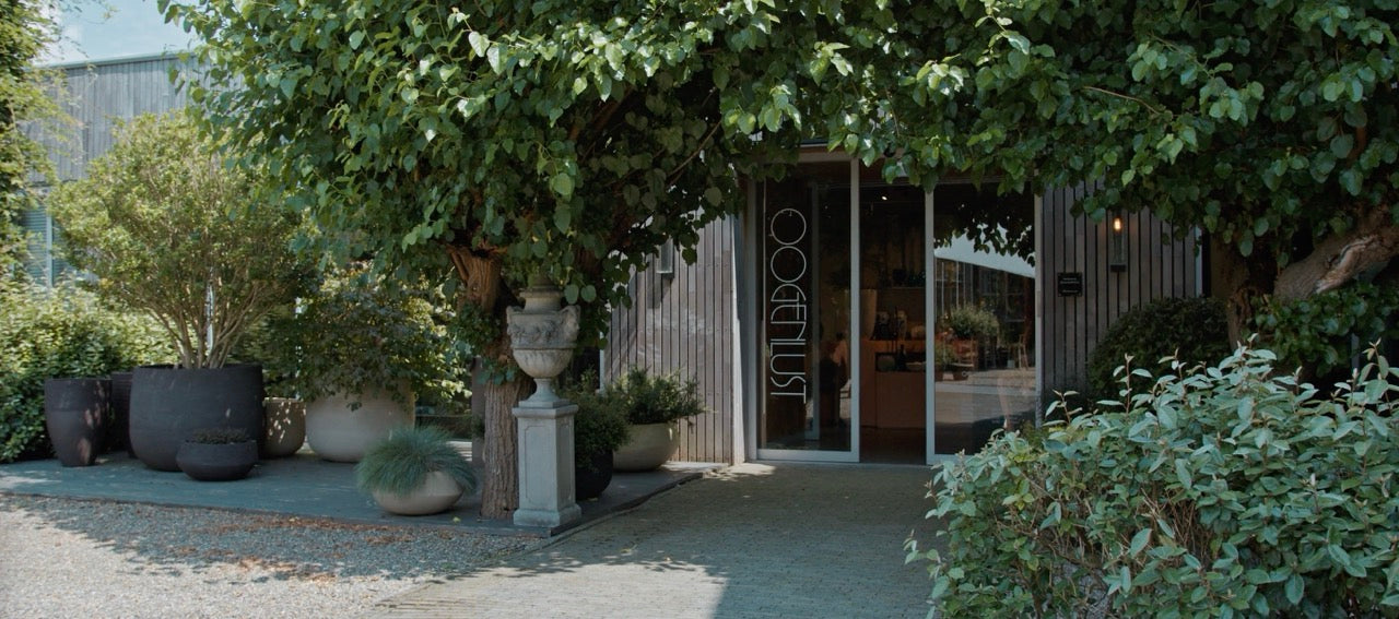 Oogenlust