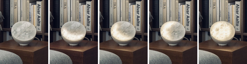 So funktioniert MOON