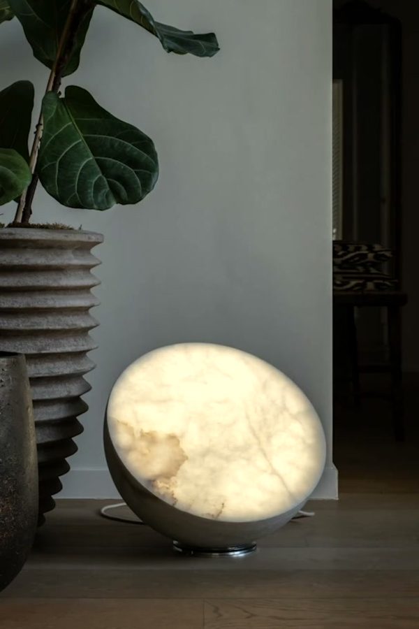 MOON Forty auf einem Holzboden neben einem Feigenbaum, im Verlauf eines halben Mondmonats von Vollmond bis Neumond.